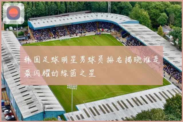 韩国足球明星男球员排名揭晓谁是最闪耀的绿茵之星