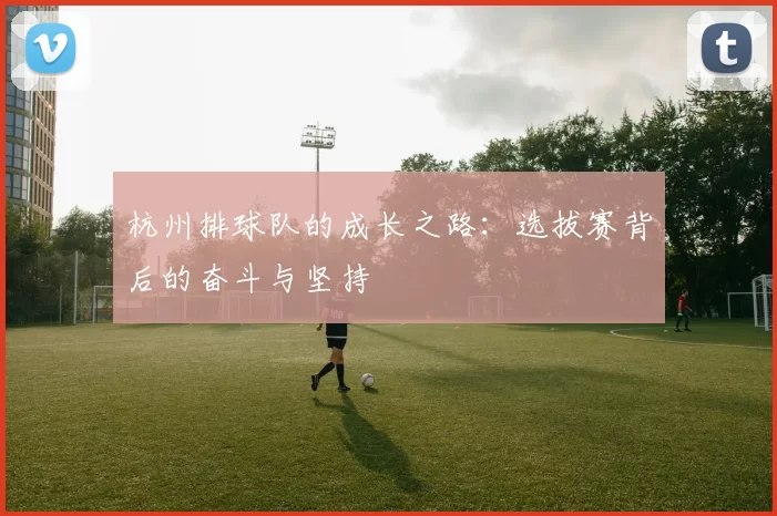 杭州排球队的成长之路：选拔赛背后的奋斗与坚持