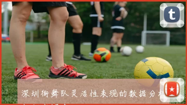 深圳街舞队灵活性表现的数据分析与研究探索
