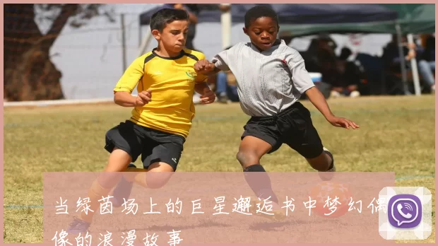 当绿茵场上的巨星邂逅书中梦幻偶像的浪漫故事