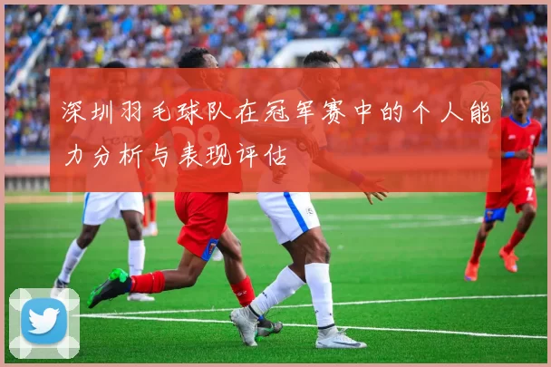深圳羽毛球队在冠军赛中的个人能力分析与表现评估