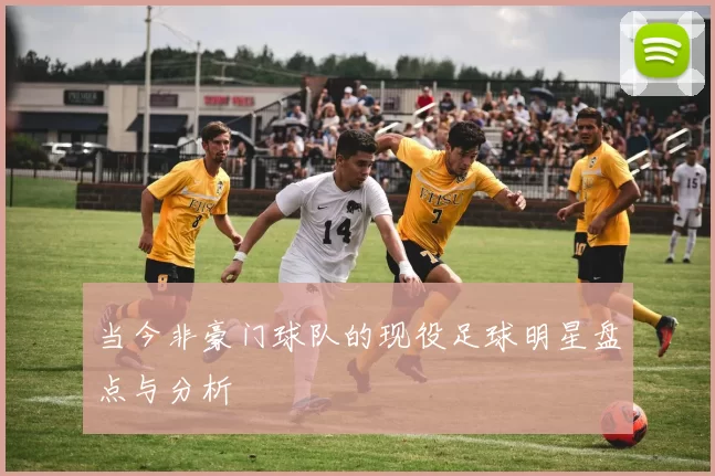 当今非豪门球队的现役足球明星盘点与分析