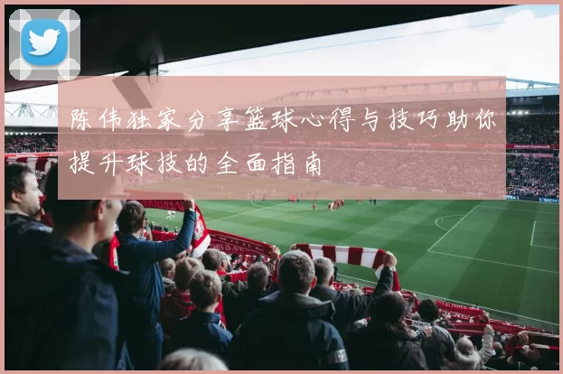 陈伟独家分享篮球心得与技巧助你提升球技的全面指南