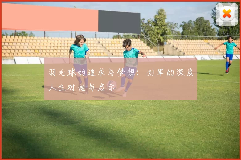 羽毛球的追求与梦想：刘军的深度人生对话与启示