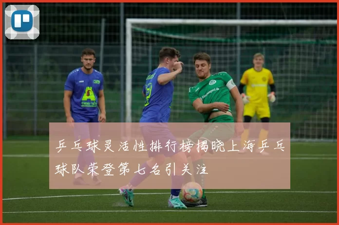 乒乓球灵活性排行榜揭晓上海乒乓球队荣登第七名引关注