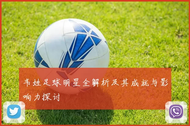韦姓足球明星全解析及其成就与影响力探讨