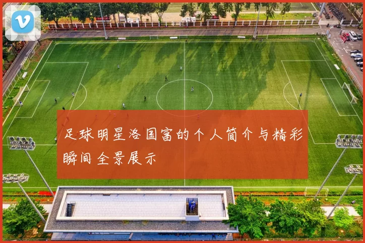 足球明星洛国富的个人简介与精彩瞬间全景展示