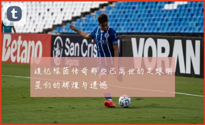 追忆绿茵传奇那些已离世的足球明星们的辉煌与遗憾