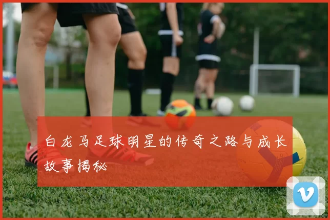 白龙马足球明星的传奇之路与成长故事揭秘