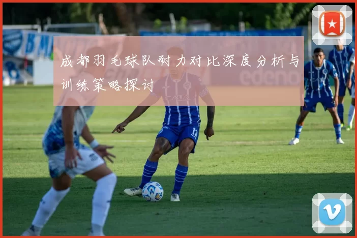 成都羽毛球队耐力对比深度分析与训练策略探讨