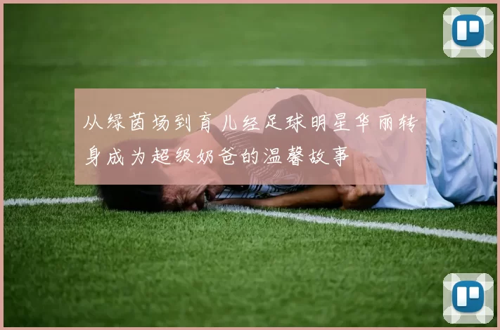 从绿茵场到育儿经足球明星华丽转身成为超级奶爸的温馨故事