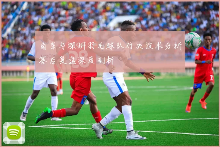 南京与深圳羽毛球队对决技术分析赛后复盘深度剖析