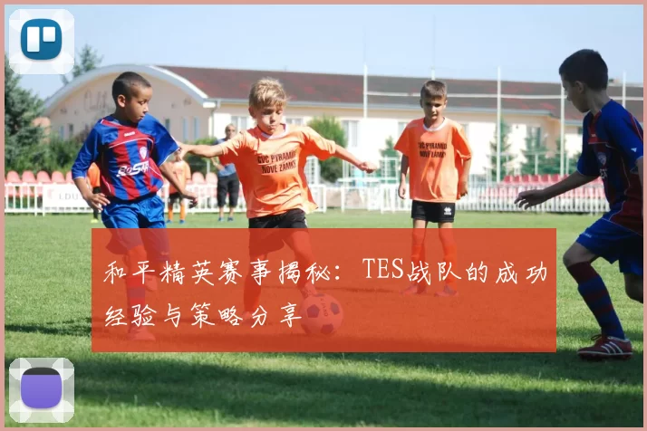 和平精英赛事揭秘：TES战队的成功经验与策略分享