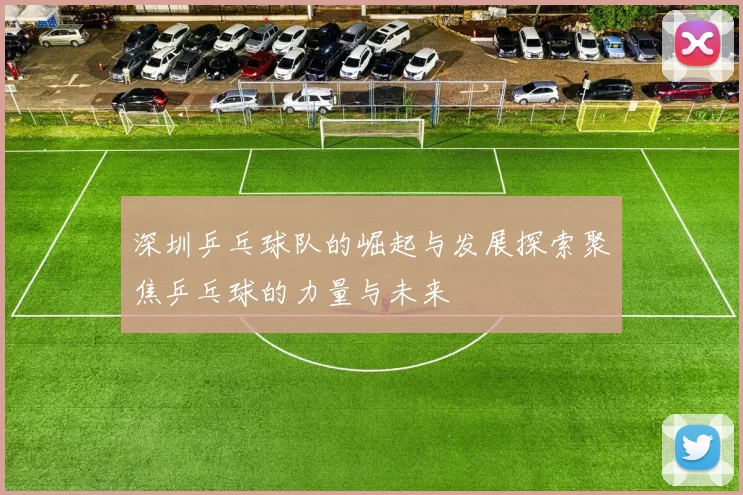 深圳乒乓球队的崛起与发展探索聚焦乒乓球的力量与未来