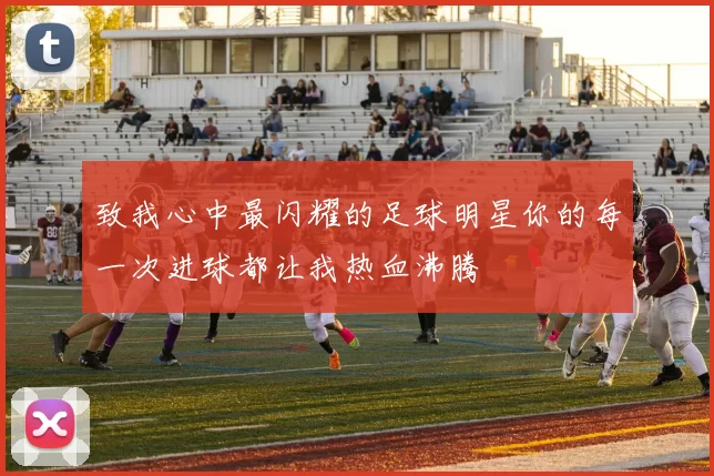 致我心中最闪耀的足球明星你的每一次进球都让我热血沸腾