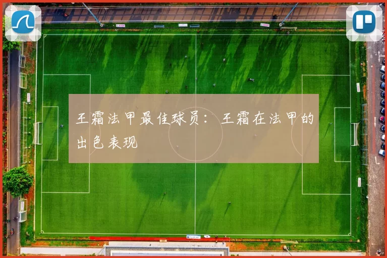王霜法甲最佳球员：王霜在法甲的出色表现