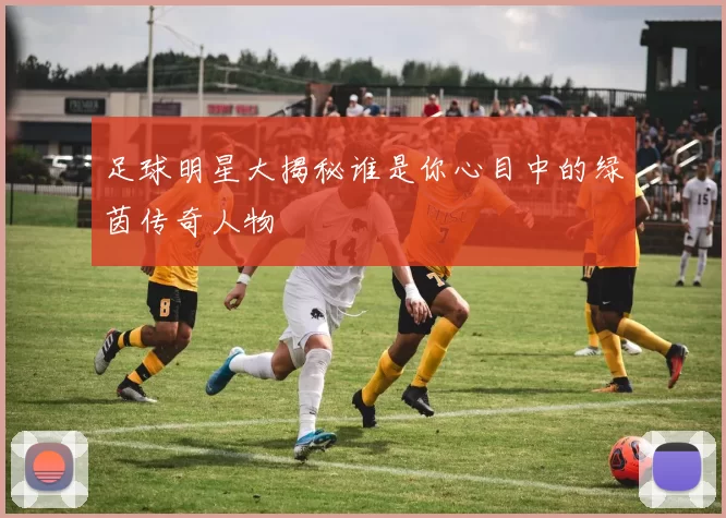 足球明星大揭秘谁是你心目中的绿茵传奇人物