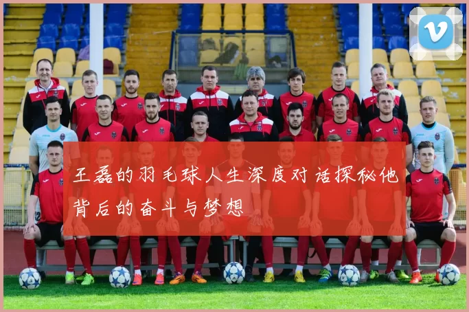 王磊的羽毛球人生深度对话探秘他背后的奋斗与梦想